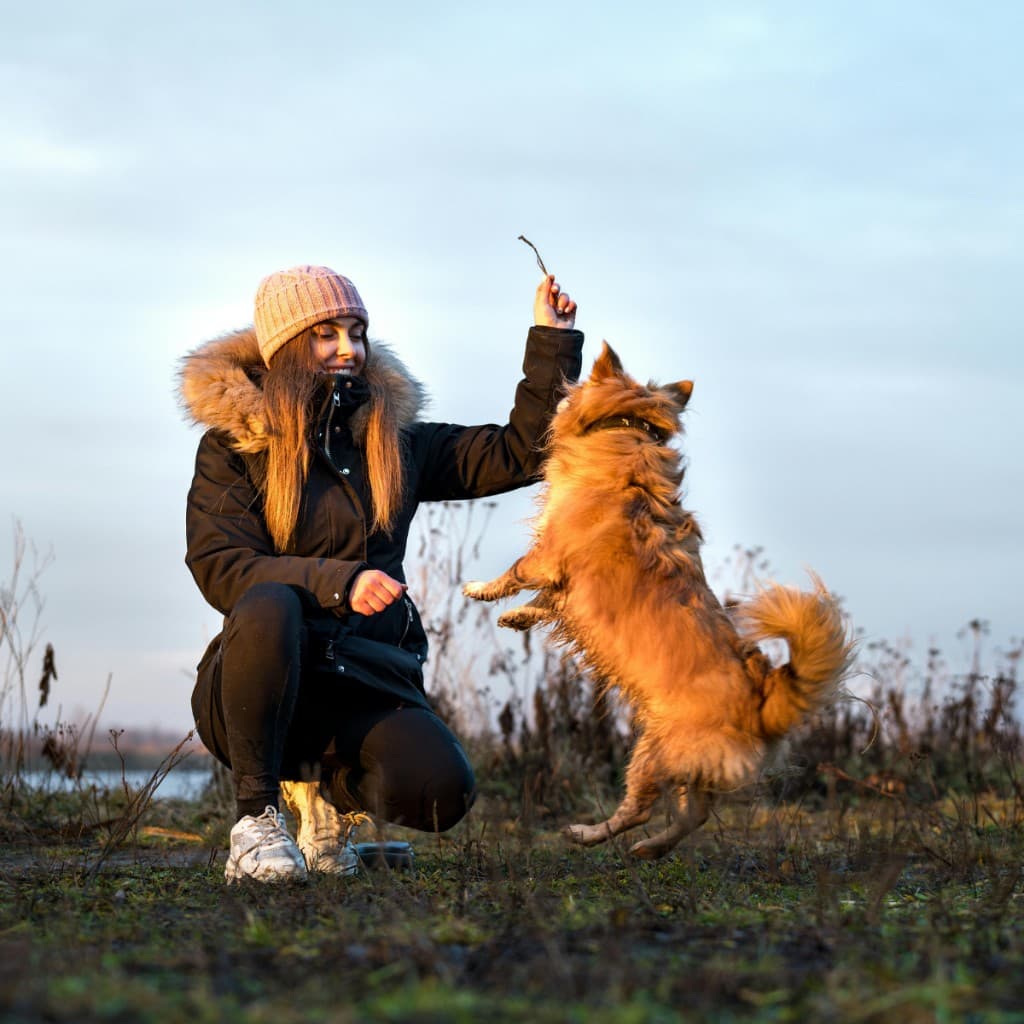 Golden Retriever puppy on a teal leash during a dog training walk